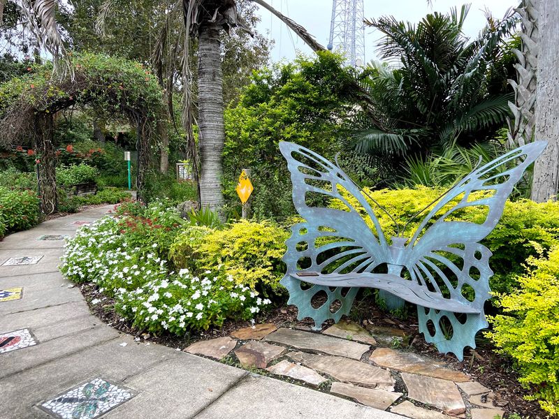 Start With the Butterfly Garden