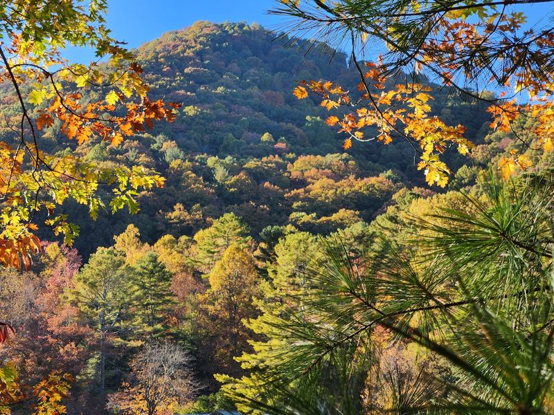 A Mountain Setting That Feels Brushed Onto Canvas