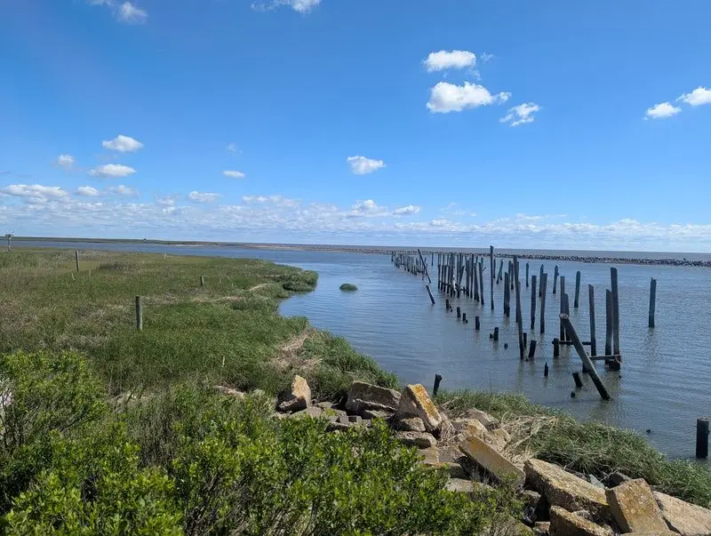 A Boardwalk View Over a Marsh That Never Sits Still
