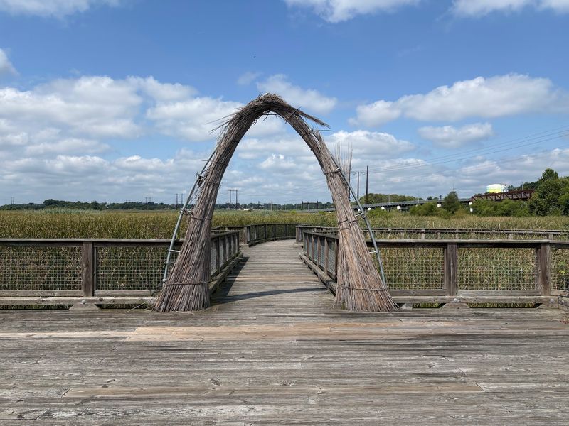 A Marsh Walk Without a Long Hike