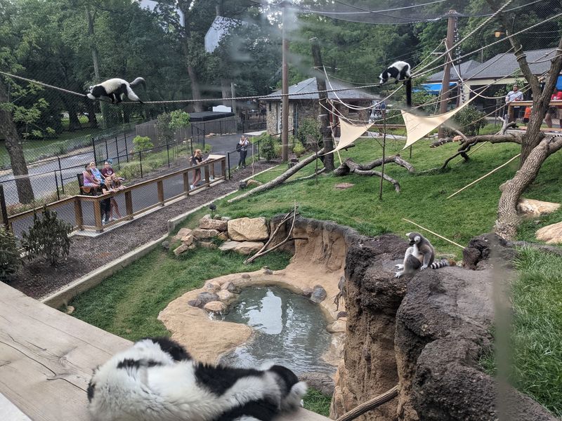 Brandywine Zoo - Wilmington