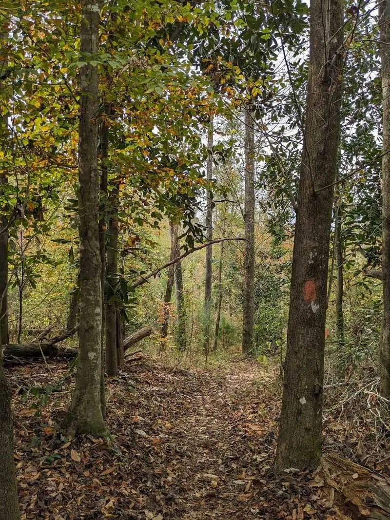 Torreya State Park - Bristol