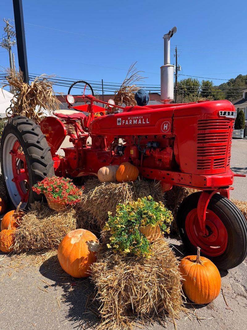 Darnell Farms
