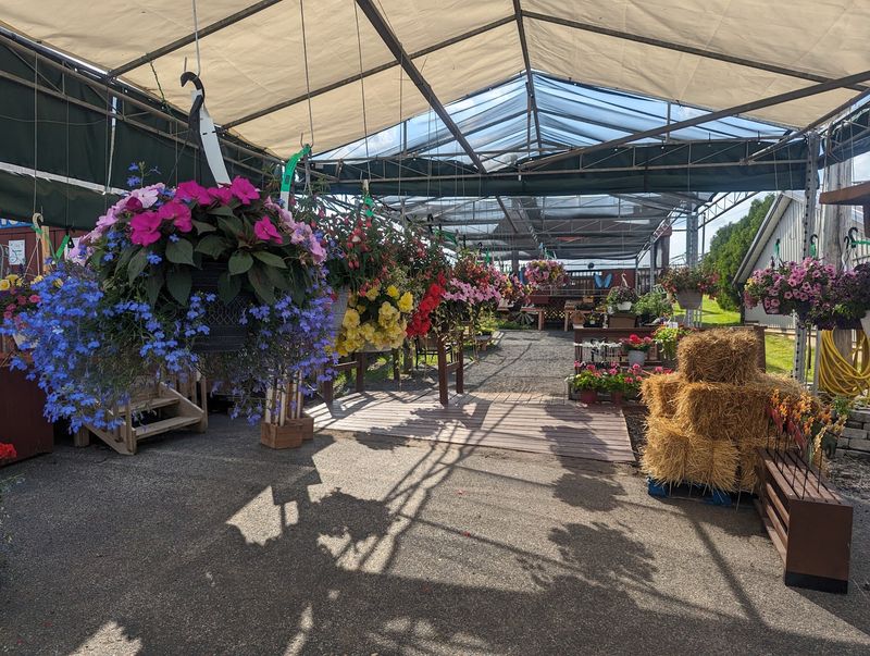Weaver's Orchard Inc