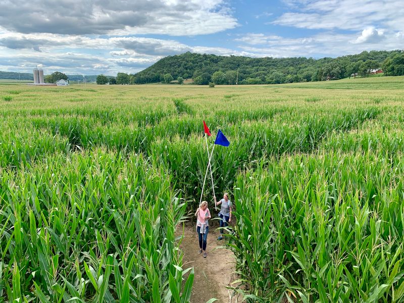 Treinen Farm Corn Maze and Pumpkin Patch