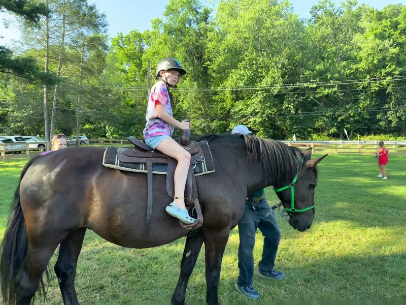 Hawks Hollow Farm