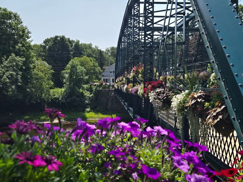 Flowers Turn The Old Bridge Into A Garden