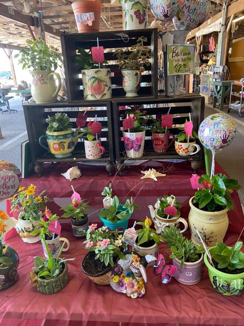Fresh Produce And Plants Make It A Real Grocery Stop
