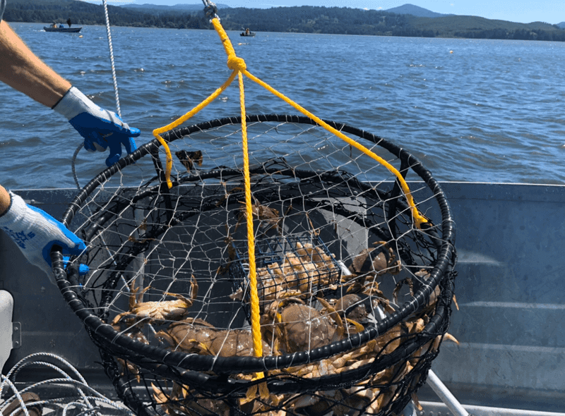 Three Hours, One Little Boat, And A Bay Full Of Possibilities
