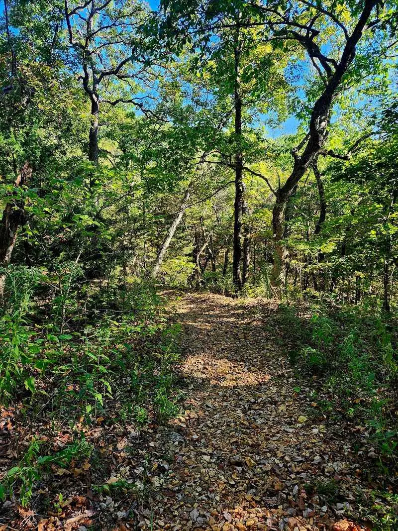 Lace Up Sturdy Shoes For The Very Stony Ridge Trail