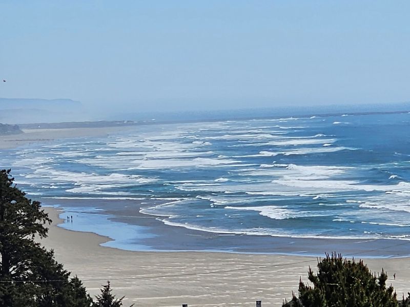 That Panoramic Window View Steals The Whole Show