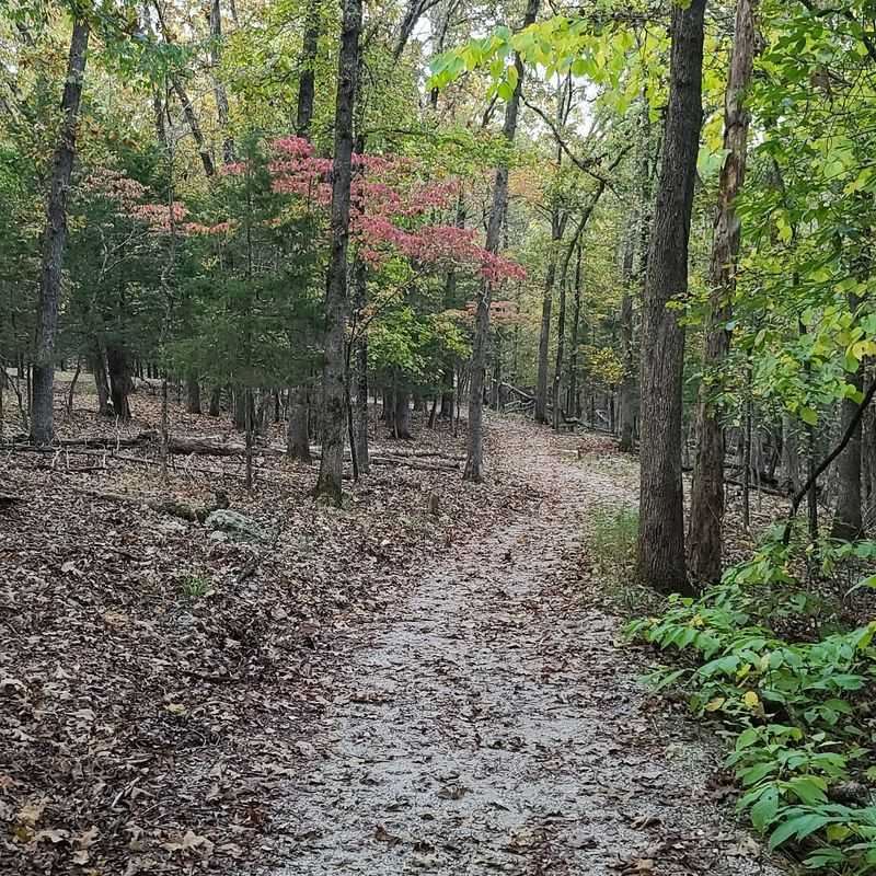 Trails For Easy Strollers And Sure-Footed Hikers