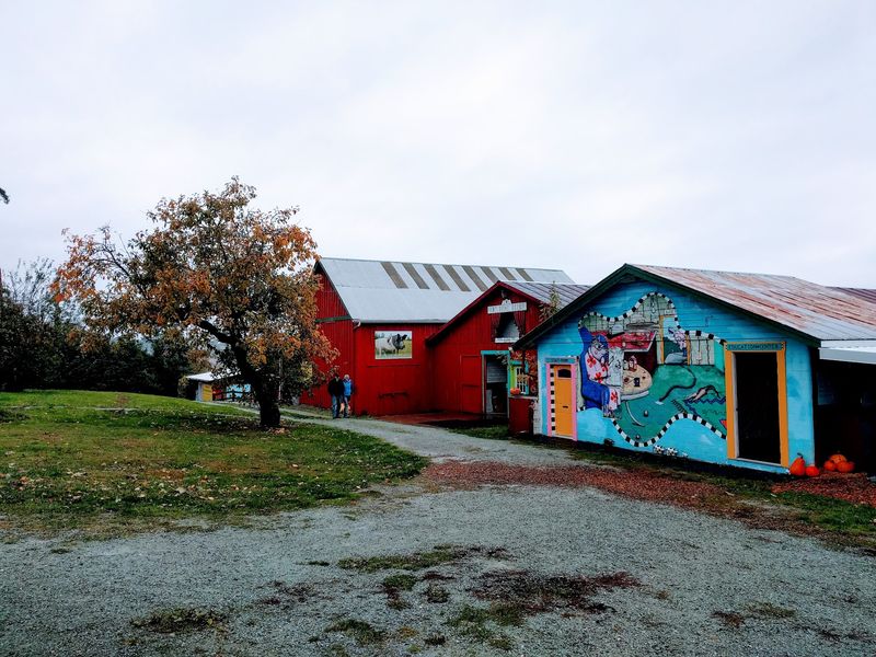 Spotless Barns That Might Shame Your Garage