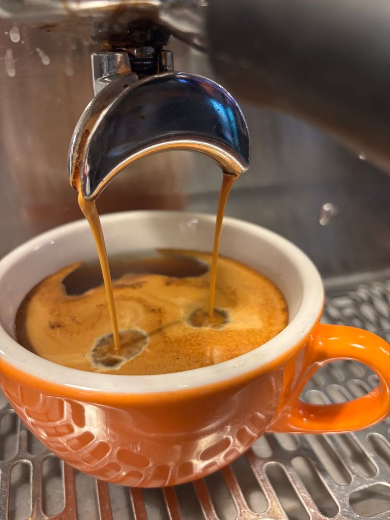 Neighborhood Charm With Personality: Smelly Cat Coffeehouse, Charlotte, Mecklenburg County,