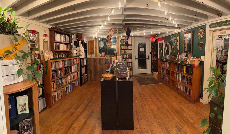 Quiet Company at The Book Cellar, Abingdon