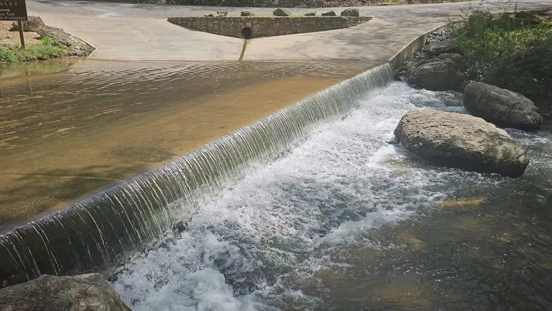 Yes, You Might Drive Your Car Through The Water