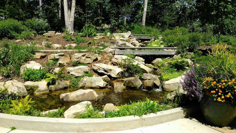 Waterfalls And Woodland Trails Make Every Turn Feel Like A New Chapter