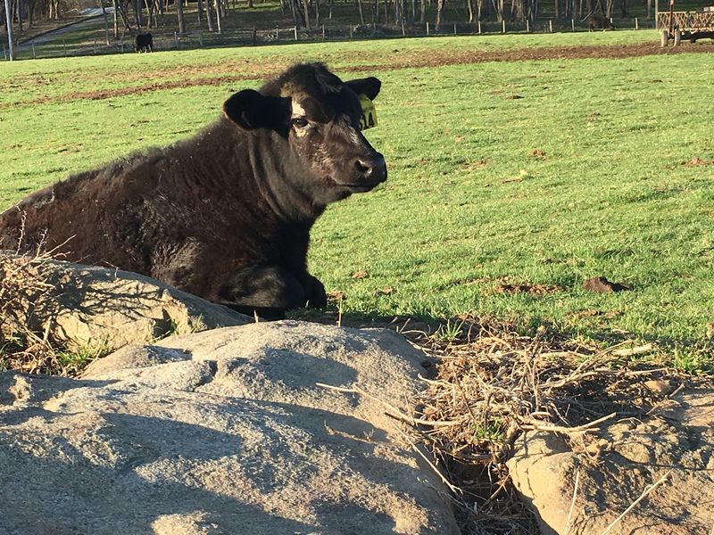 Pastures, People, and a Family Philosophy