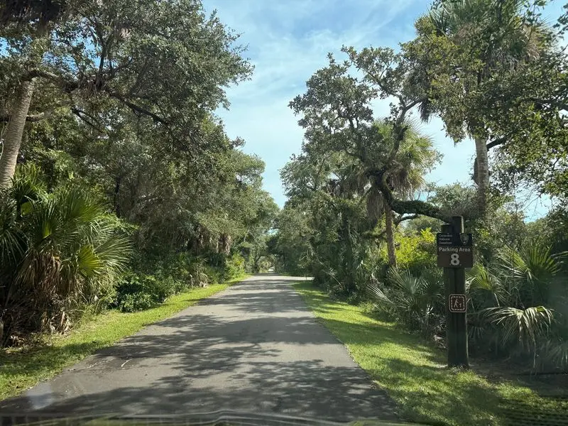 The Citrus Town That Left Only Its Streets Behind