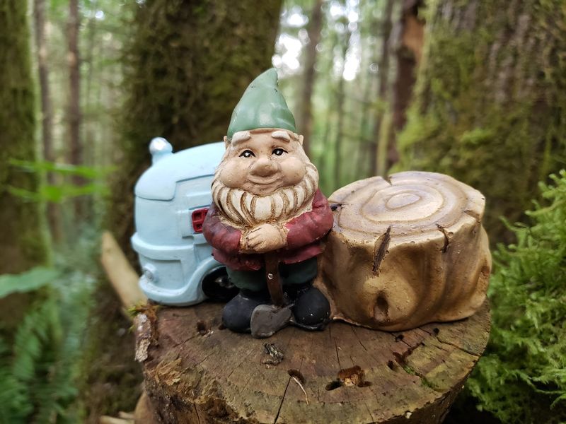 The Gnomes Packed Up And Moved Across Town