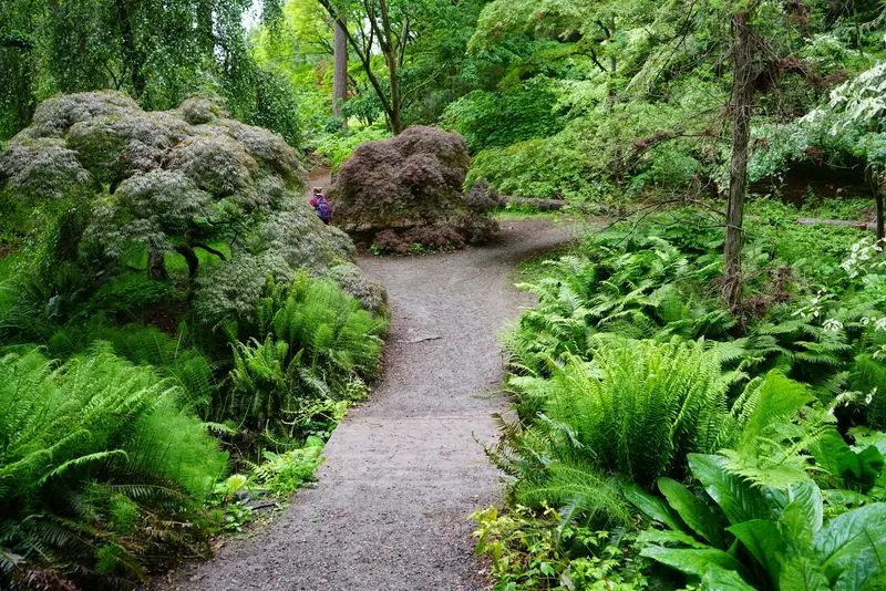 Trails That Branch Off Like A Choose-Your-Own-Adventure Book
