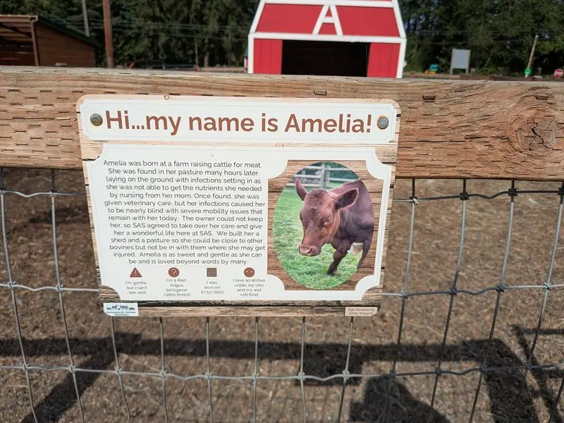 Every Animal Here Comes With A Name And A Backstory