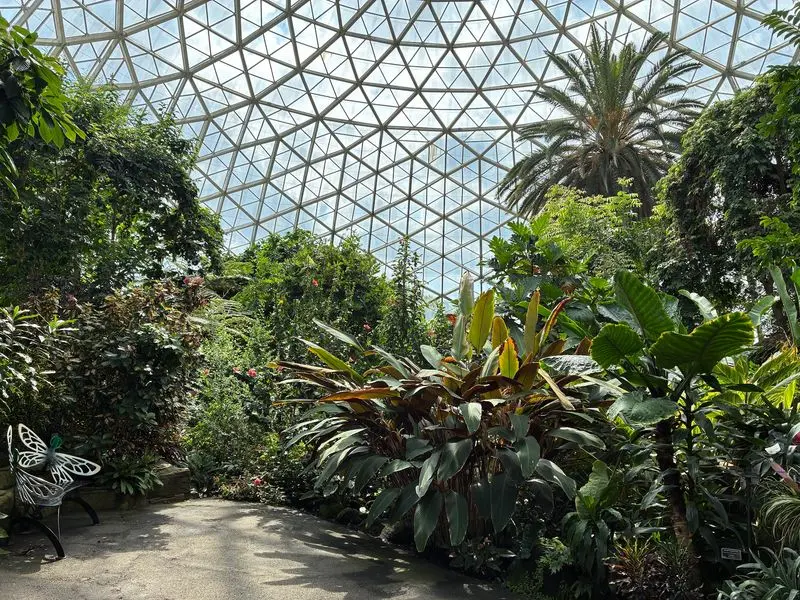 Tropical Warmth Changes the Mood