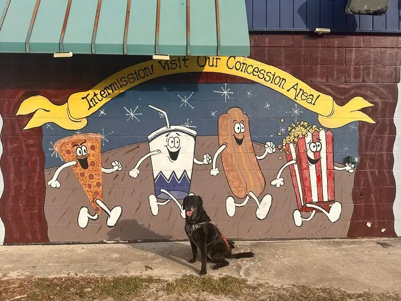 Your Four-Legged Movie Buddy Gets A Seat Too