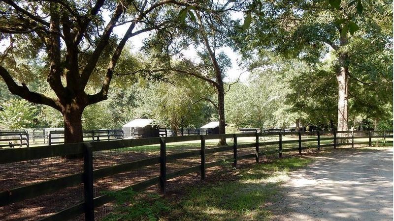 Thirty-Plus Acres Means Nobody Is Stuck In A Tiny Cage