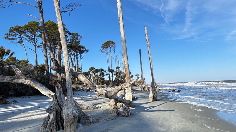 Boneyard Beach Looks Like Nature Rearranged The Furniture