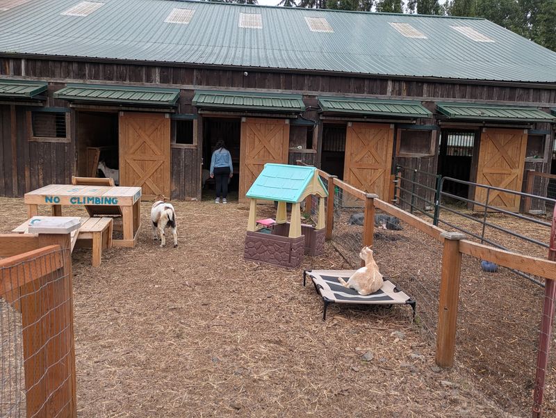 Two Play Areas For Kids Who Need To Burn Energy