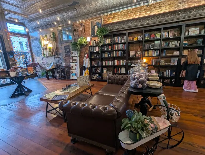 Books, Plants, And Music: The Idea Behind It All