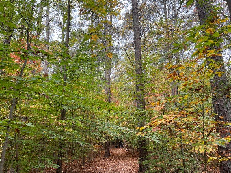 Your Four-Legged Hiking Buddy Is Invited