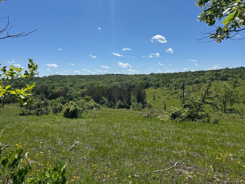 Bluff Views That Make The Climb Feel Worth It