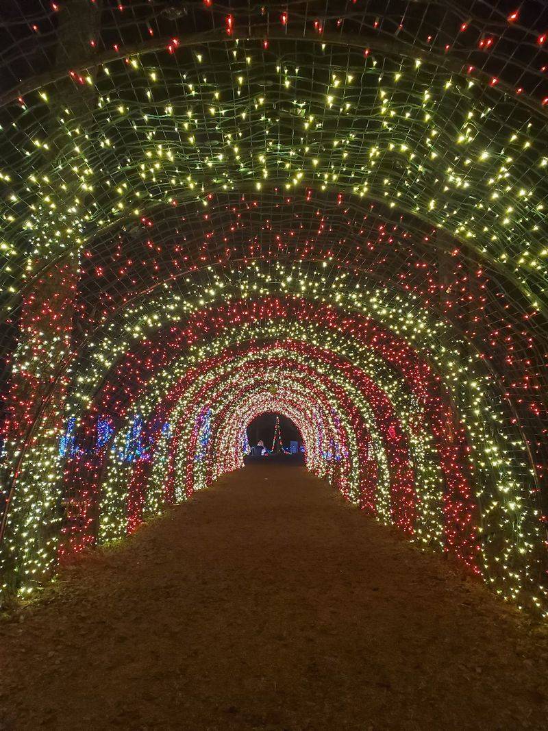 Fireworks, Twinkle Lights, And Tubing Without The Snow