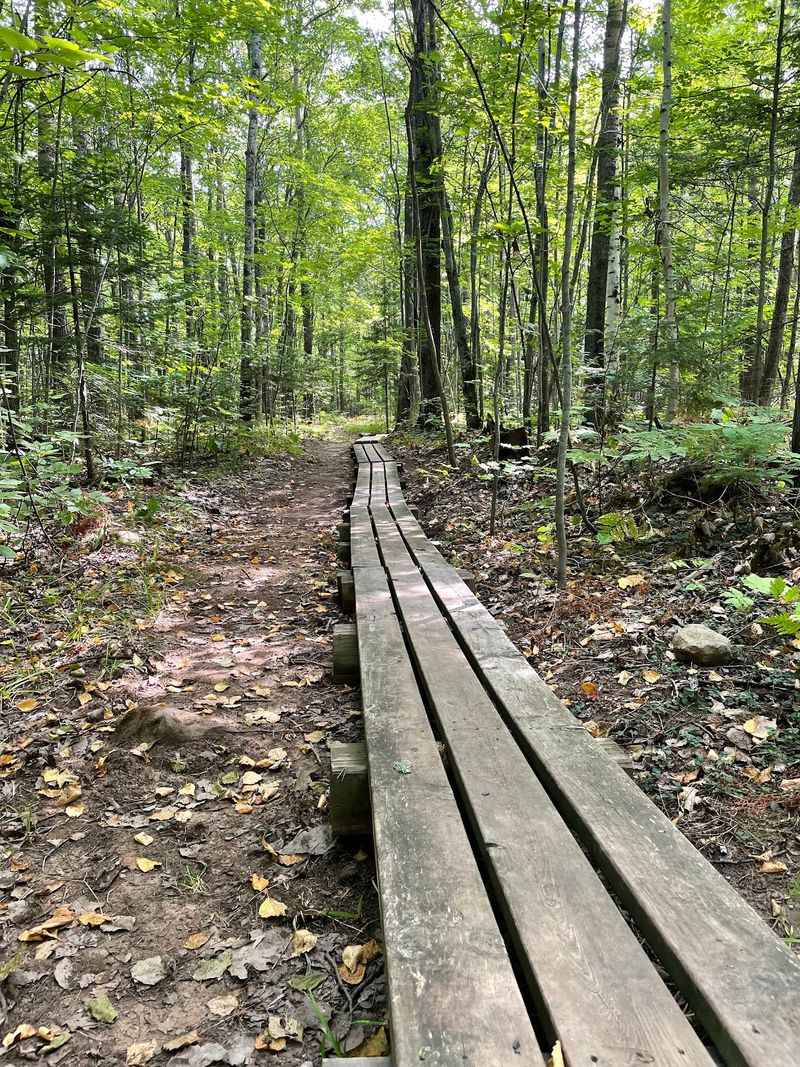 Lace Up Your Shoes For Trails That End Downtown