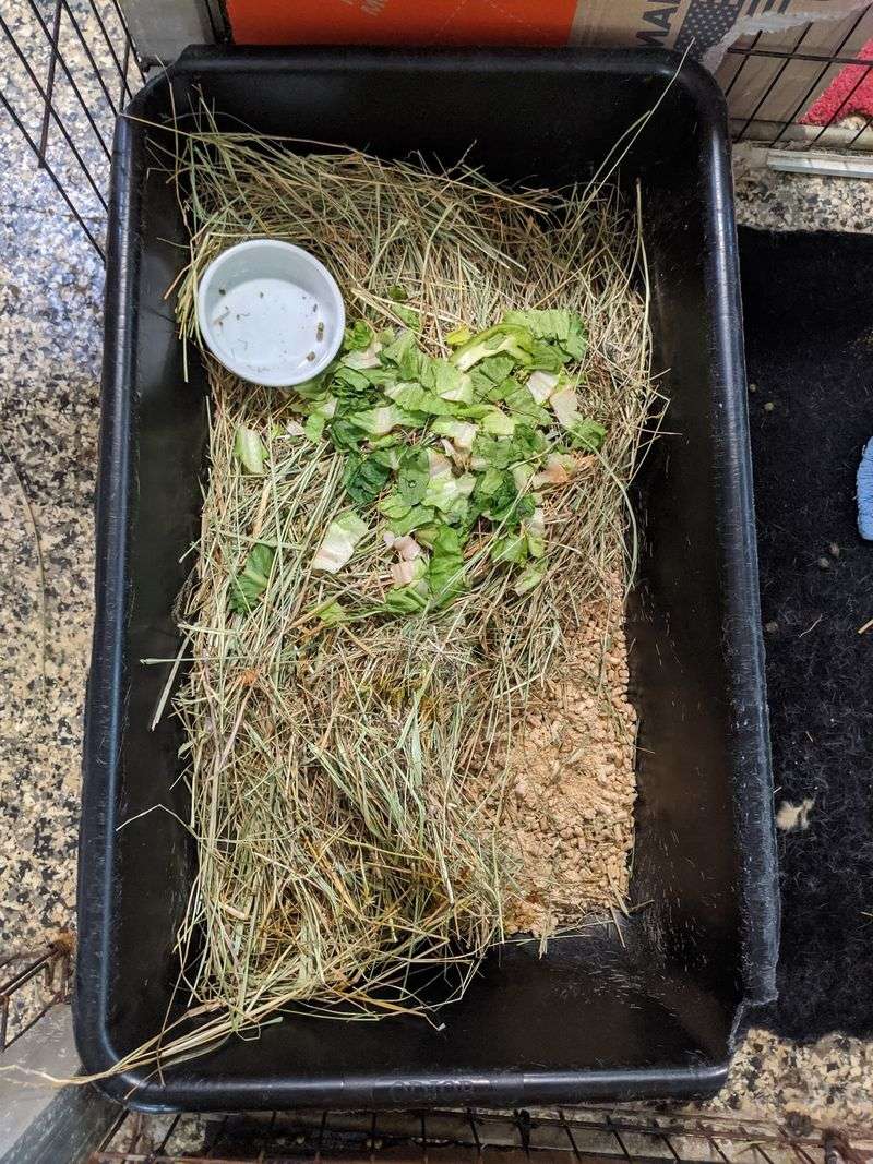 Hay Worth Hauling And Compost Gardeners Crave