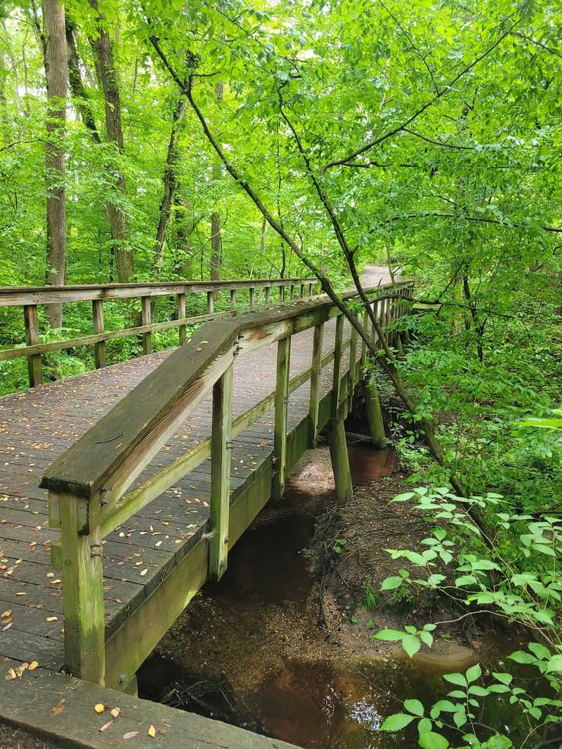 Five Miles Of Paths Built For Wandering, Not Racing