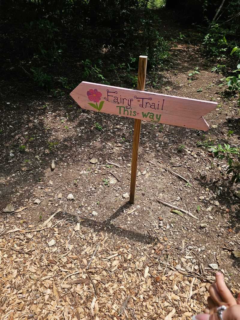 A Little Planning Protects the Magic
