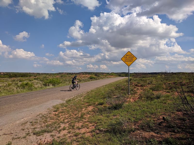 Gold Against Red at Caprock Canyons State Park & Trailway