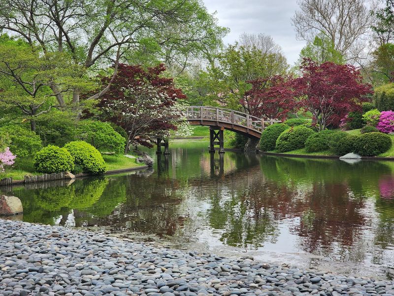 You Will Want To Slow Down In The Japanese Garden