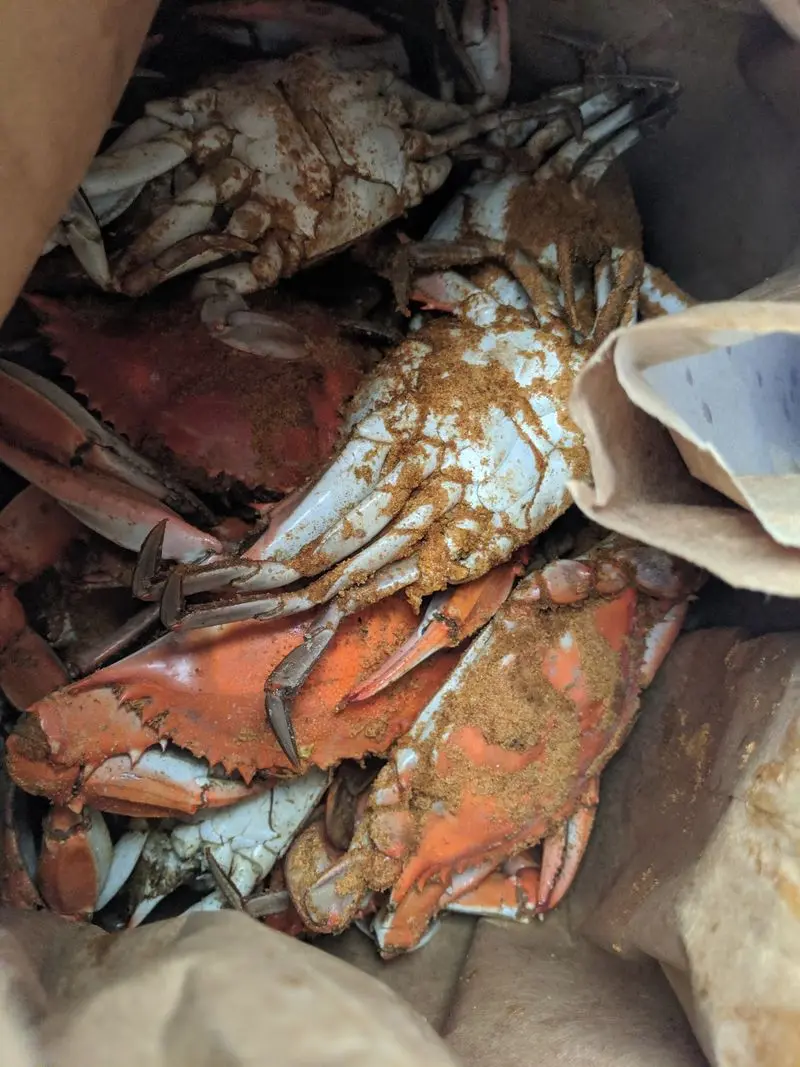 These Crabs Come With A Strict Hometown Rule