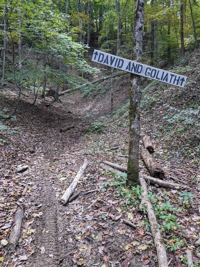 A Little Planning Beats a Long Detour