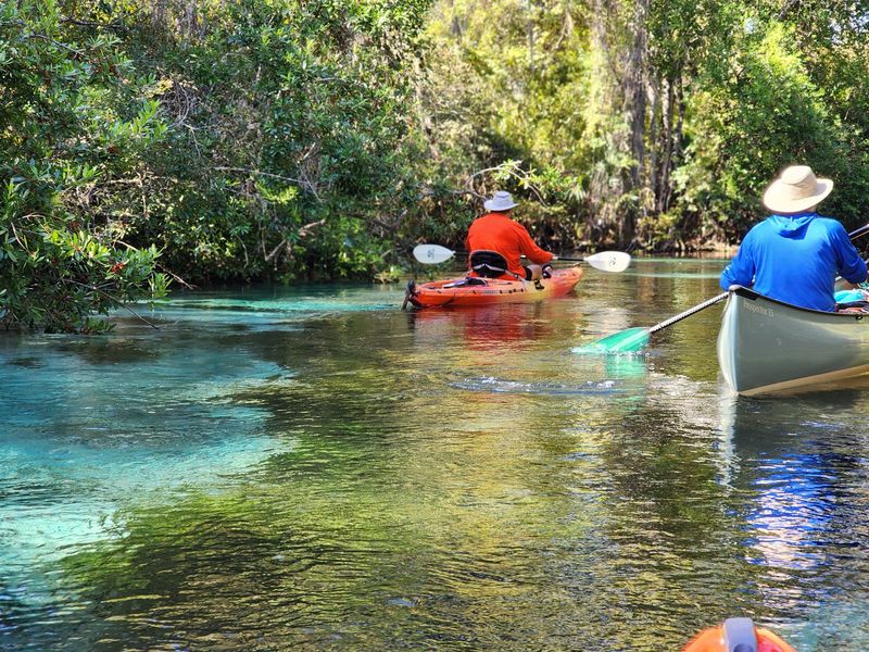 Paddle Beneath a Canopy of Green