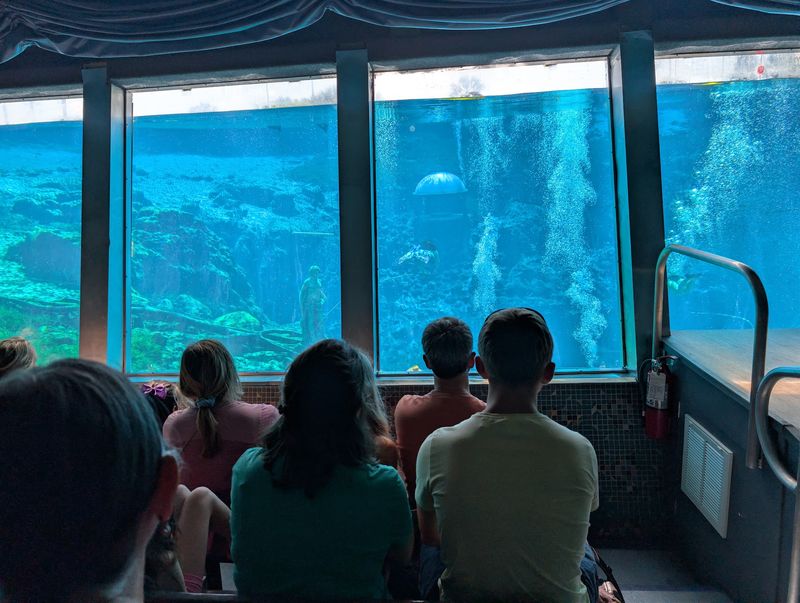 The Theater Where Water Replaces the Stage