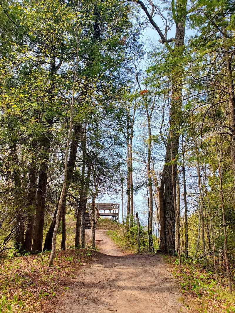 Woodland Trails With Room to Wander