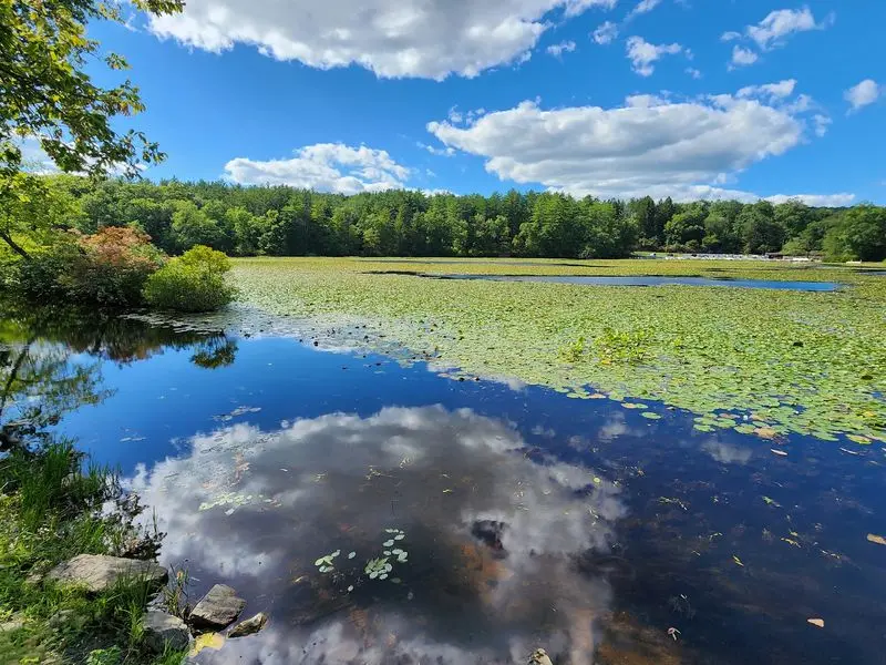 Lakeside Color With a Trail Town Spirit: Pine Grove Furnace State Park, Gardners, Cumberland County,