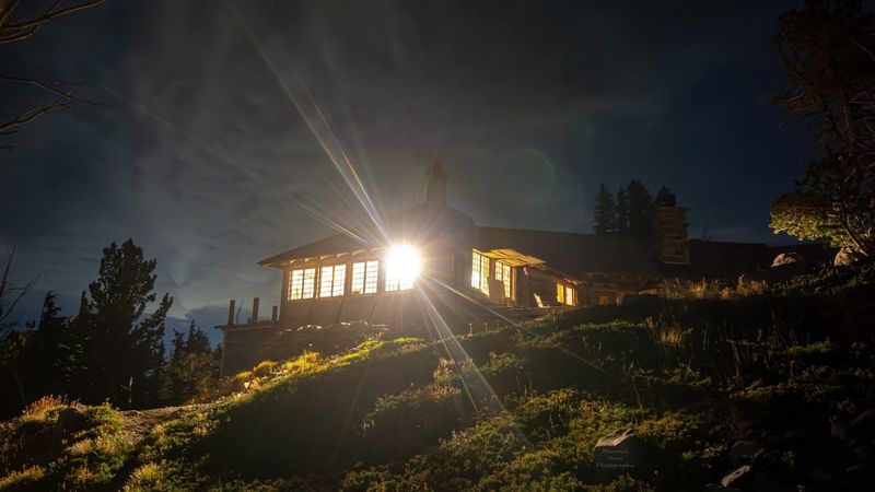 Starry Nights Worth Staying Up For