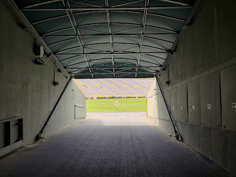 That Walk Toward the Field