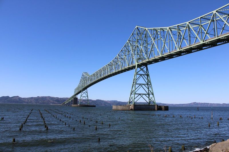 Downtown, A Museum, And One Very Big Bridge